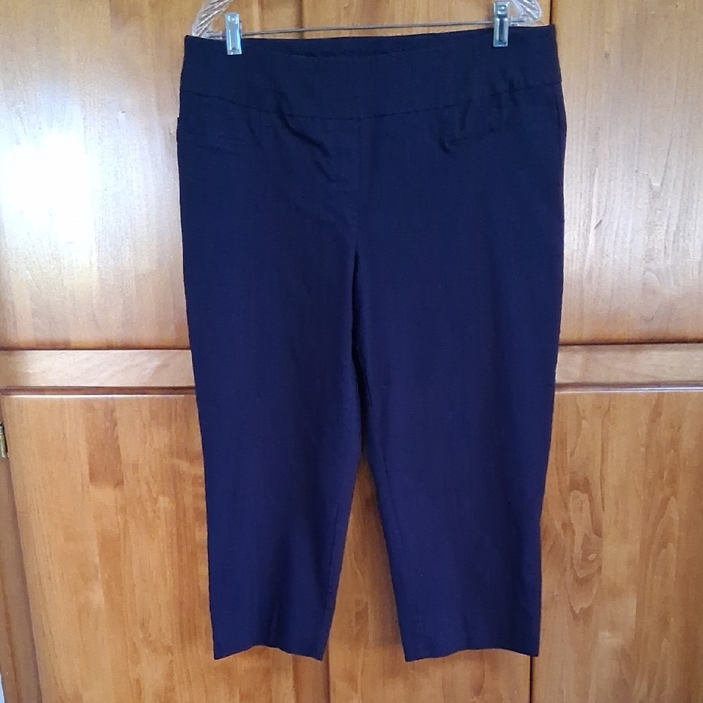 Zac & Rachel Navy Capris 16